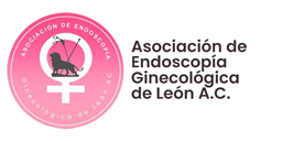 Curso / Taller Histeroscopia de Consultorio Hands On